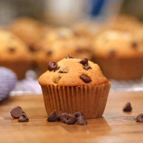 Chocolate Delight Muffins