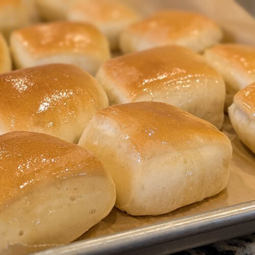 Homemade Dinner Rolls